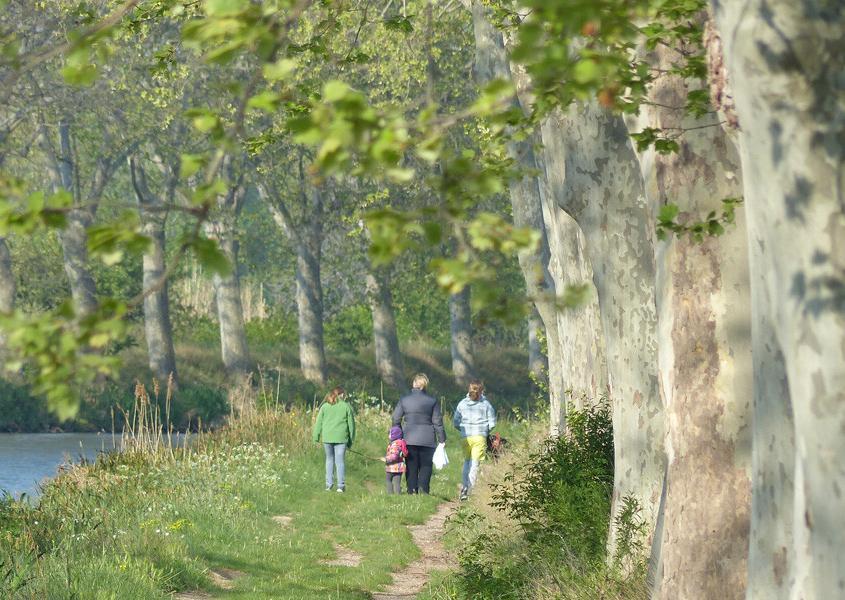 Canal du Midi Südfrankreich