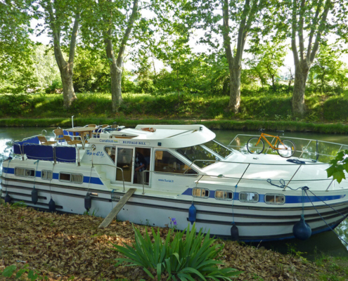 Hausboot Tarpon 42 TP mit 3 Kabinen