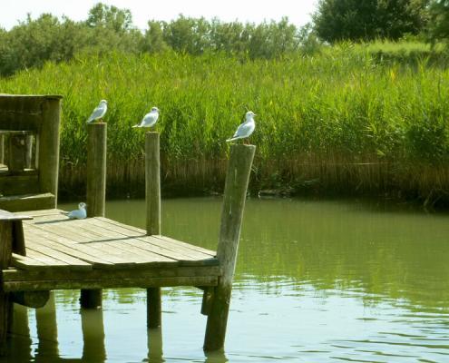 Idylle beim Hausbooturlaub in der Lagune Grado Marano