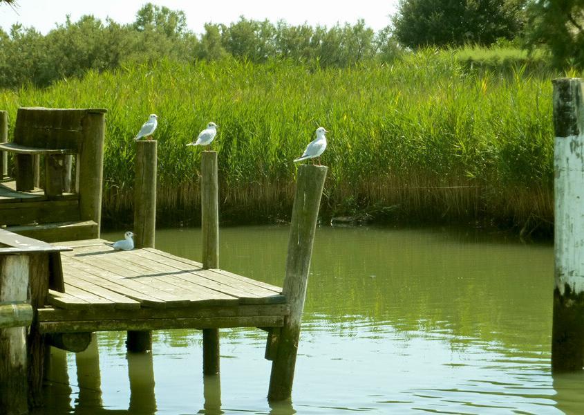 Idylle beim Hausbooturlaub in der Lagune Grado Marano